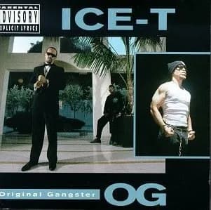 O.G. Original Gangster by Ice-T album cover