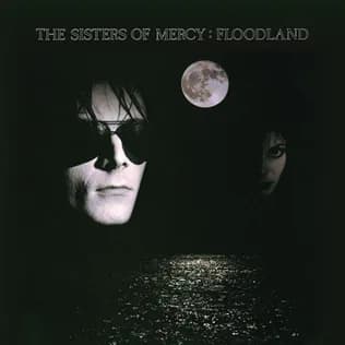 Floodland by The Sisters of Mercy album cover